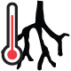 D: Soil Temperature